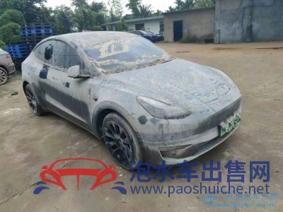 23年特斯拉MODEL YSUV