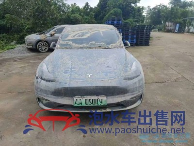 23年特斯拉MODEL YSUV