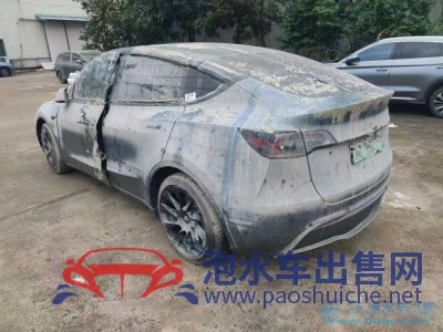 23年特斯拉MODEL YSUV