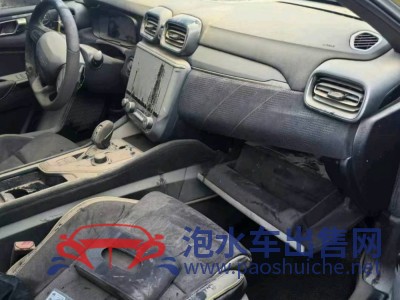 21年領(lǐng)克領(lǐng)克03緊湊型車
