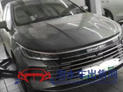 24年比亞迪驅(qū)逐艦中型車