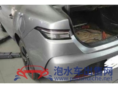 24年比亞迪驅(qū)逐艦中型車