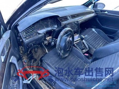 17年大眾邁騰中型車