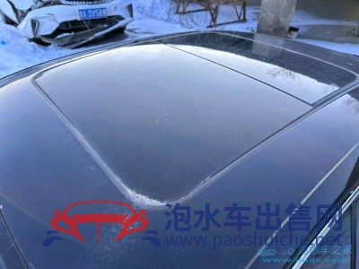 17年大眾邁騰中型車