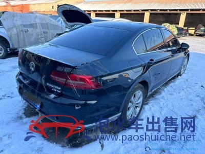 17年大眾邁騰中型車
